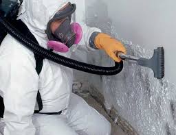 Forensic Mold Investigation in Bogata, TX